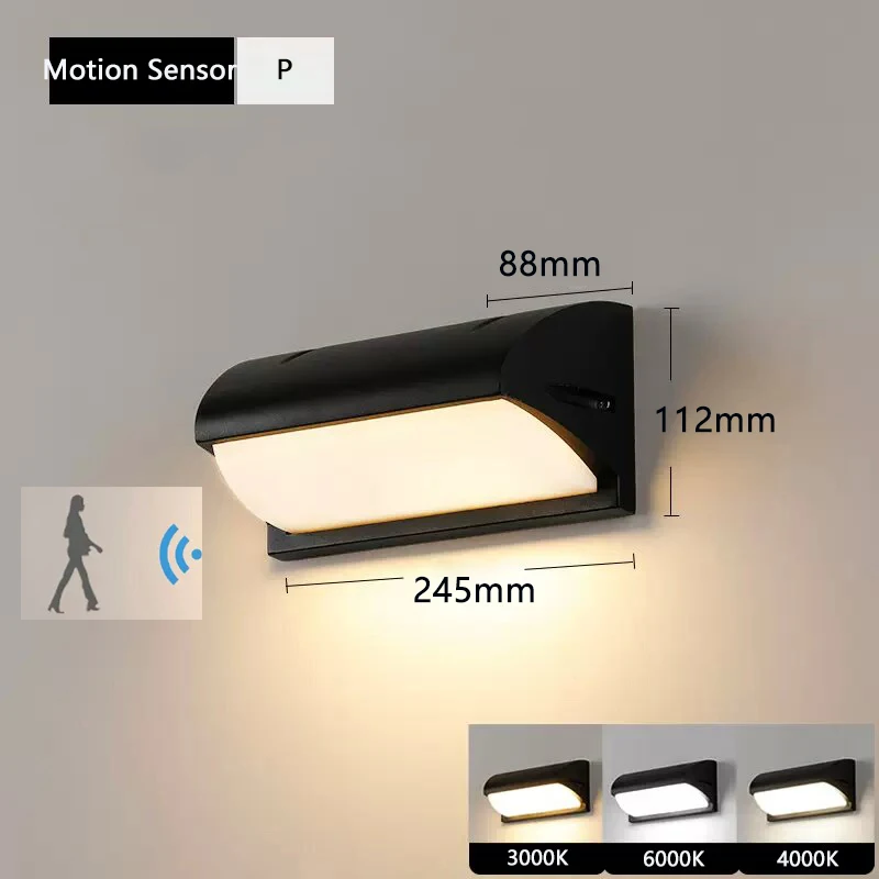 P Motion Sensor
