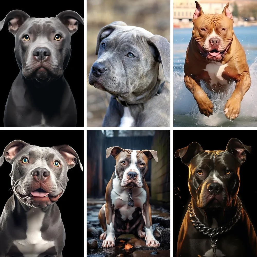 Cucciolo Di Bull Terrier Bianco, Cane, Giovane, Pitbull Immagine PNG e  clipart per il download gratuito, image size:1000x1000