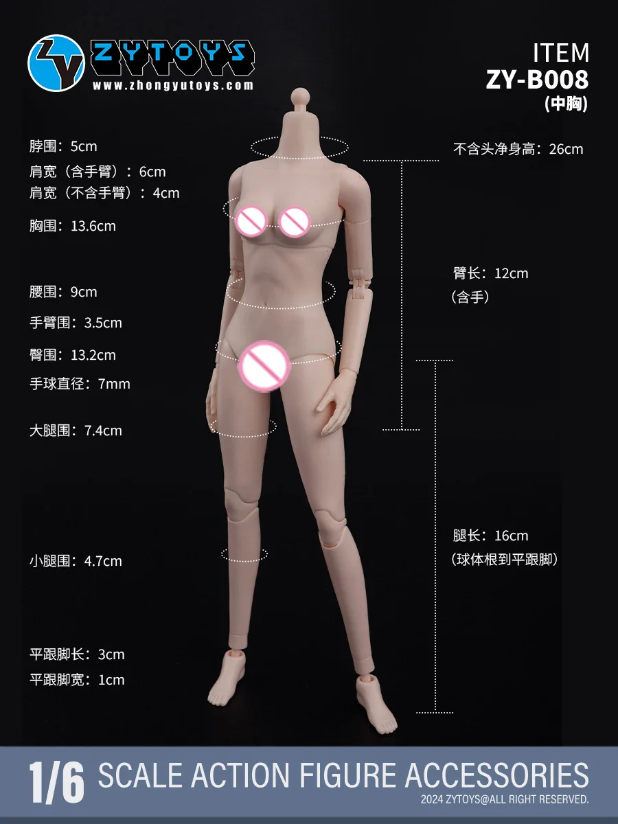 ZYTOYS ZY-B008 ZY-B009 1/6 스케일 여성용 슈퍼 플렉시블 조인트 바디 12인치 화이트 소형 중간 가슴 액션 피규어 바디 모델