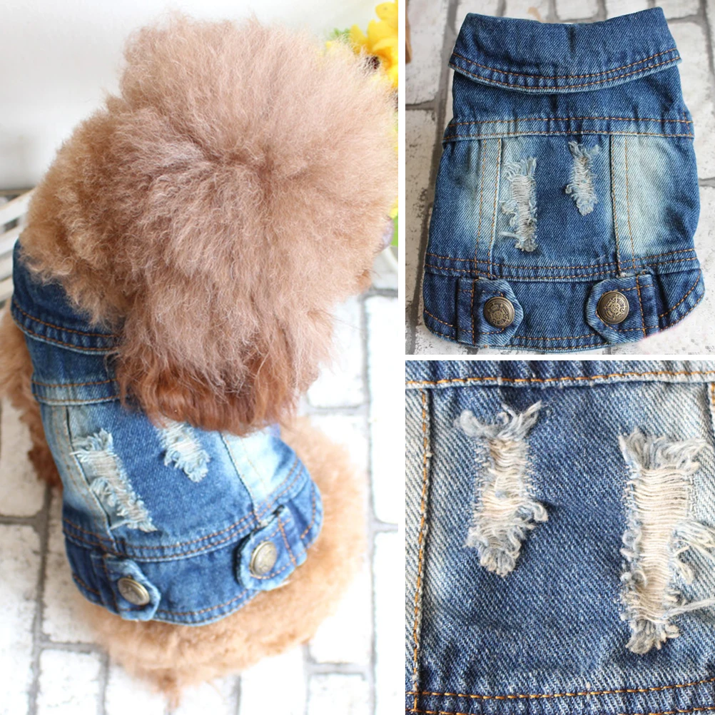Denim Jacket Clothes 2