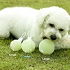 Durable Dog Toy Ball For Teeth Grinding Training For Small Medium Large Breeds Golden Retriever Labrador German Shepherd 2