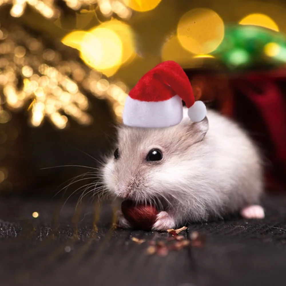 Soft Cloth Hamster Guinea Pig Christmas Cap Costume for Small Pets