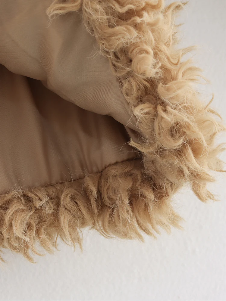 Winter Woman 2025 Faux Fur Coat Autumn Fur Plush Fluffy Jacket Loose Soft Solid Color Fur Short Outerwears Elegant Ladies New