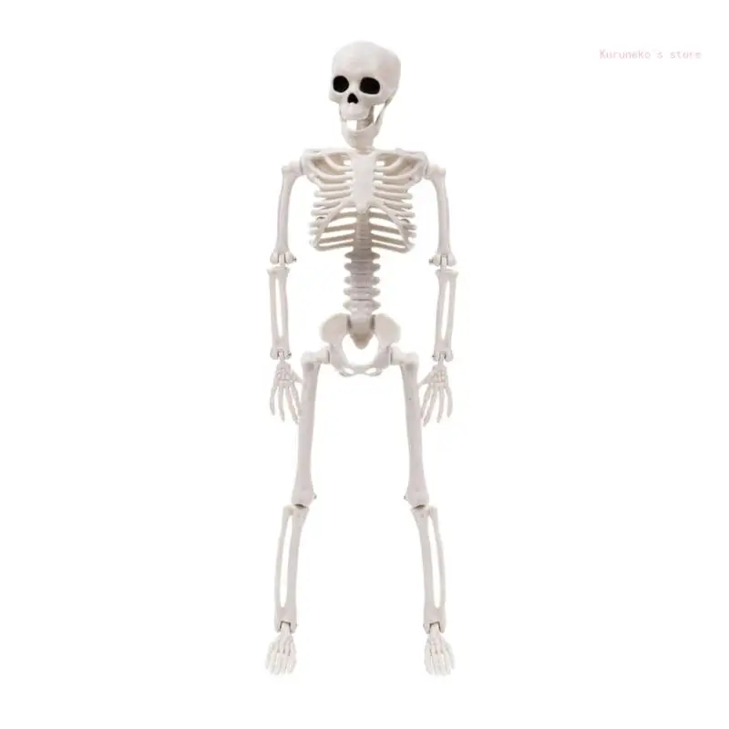 

Идеальный декор сцены с черепом на Хэллоуин для хозяев вечеринок и владельцев баров