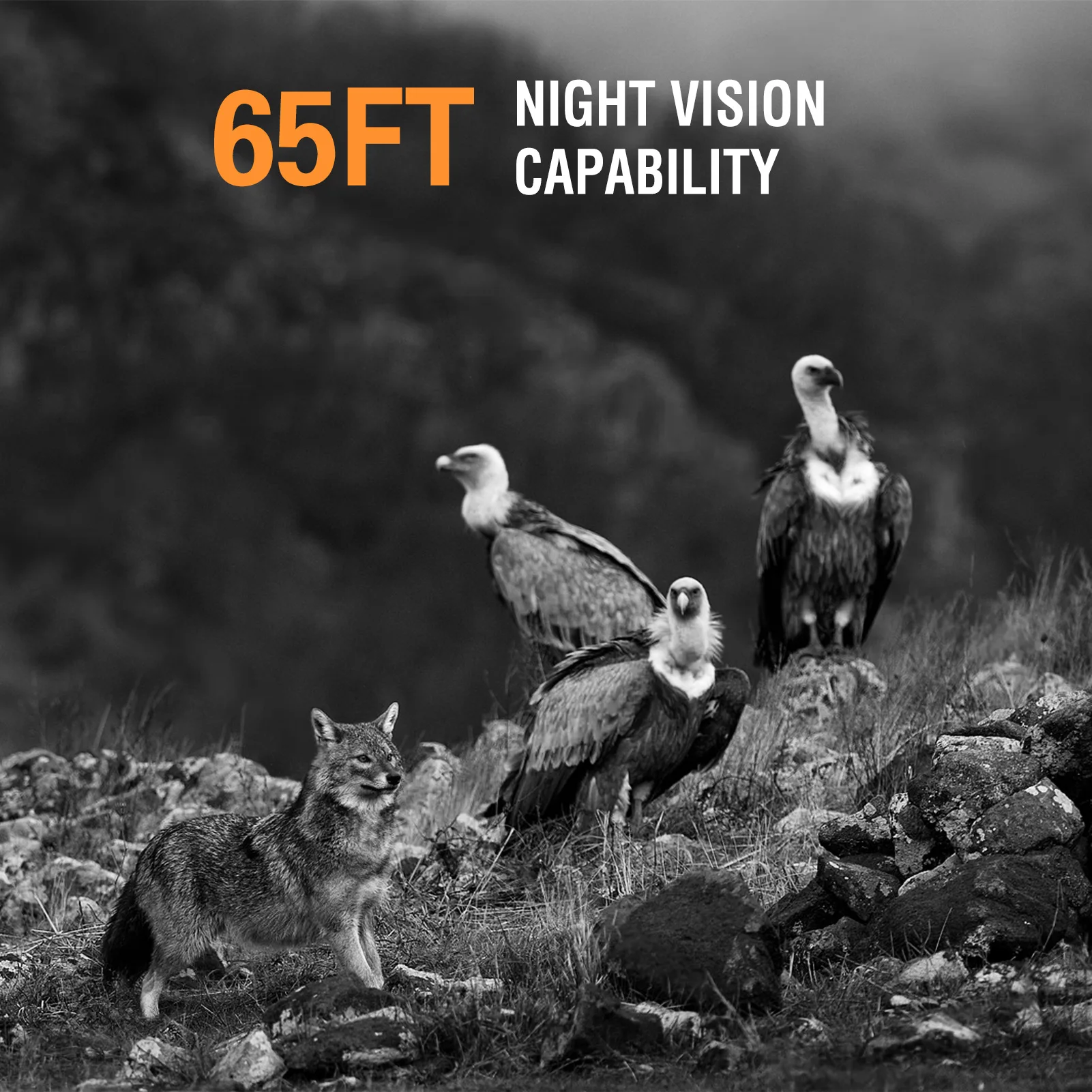 4K 50MP Solar Trail Camera 120&deg; Detection Angle Game Camera Night Vision IP65 Waterproof Hunting for Wildlife Monitoring
