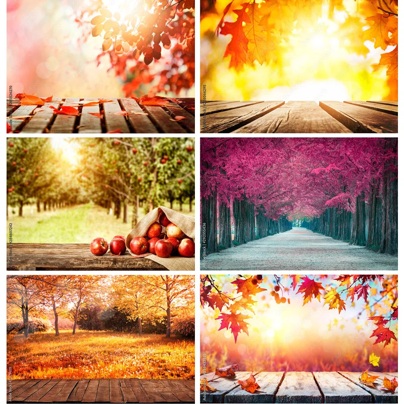 

Natural Scenery Photography Background Fall Leaves Forest Landscape Travel Photo Backdrops Studio Props QQTT-06