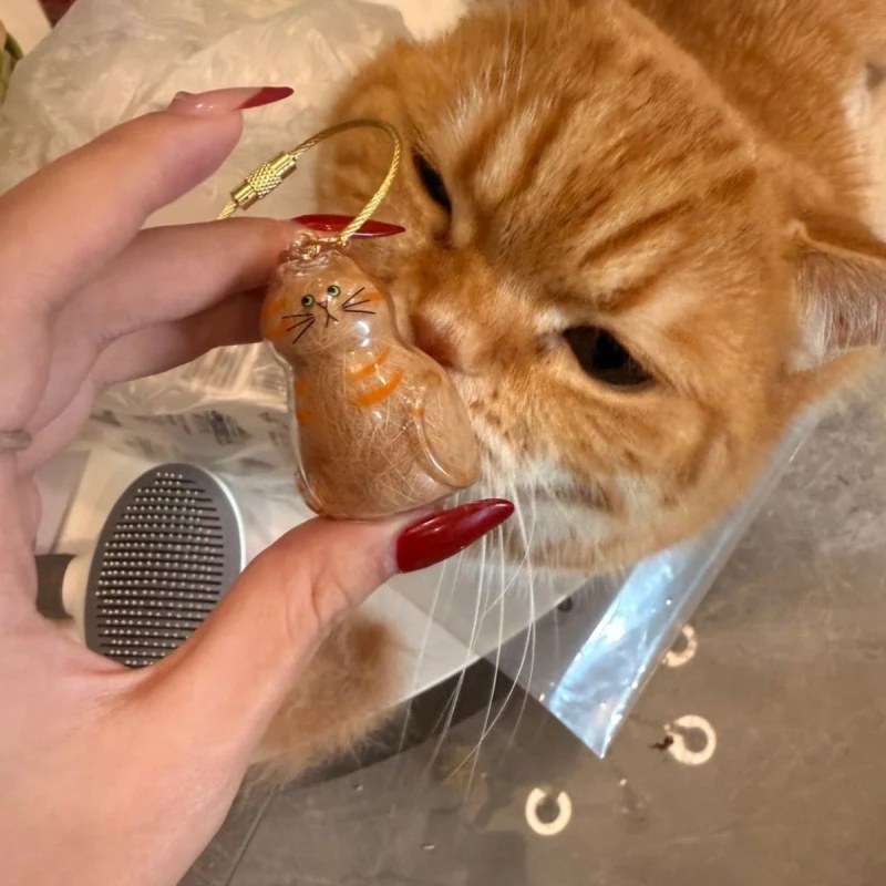 Ginger Cat Keychain Pendant – Cute Cat Backpack Charm & Storage Box 5