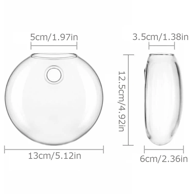 Wall-Mounted Glass Plant Terrarium 6