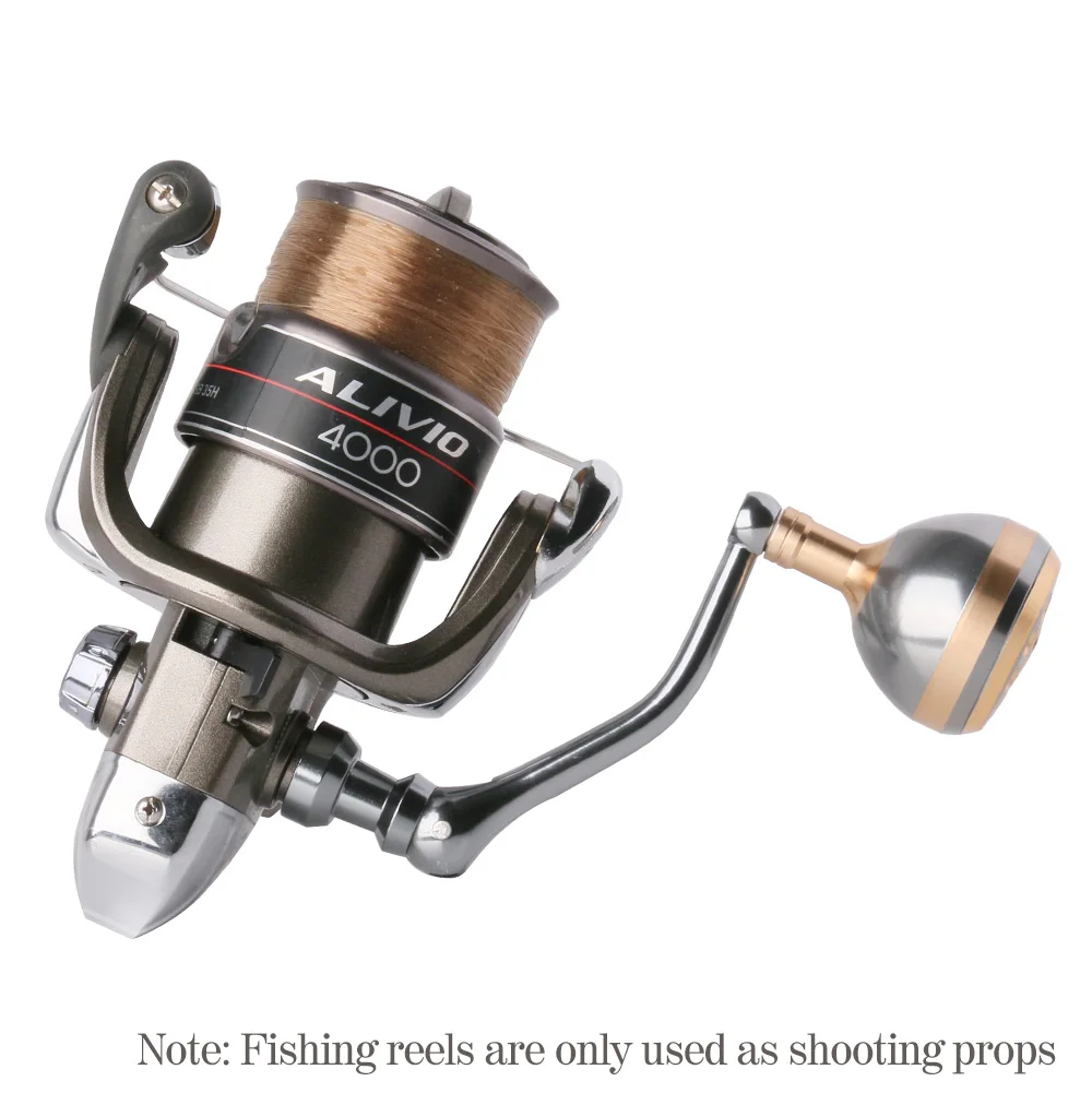 2010 shimano stella c3000 FI XG Sports & Outdoors Size:40