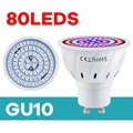 GU10-80Leds