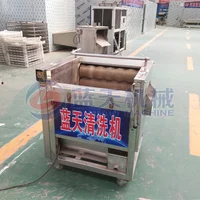 Hair Roller Peeling and Cleaning Machine Peanut Ginger Carrot Mud Washing Machine Sweet Potato Potato Cleaning Equipment 2