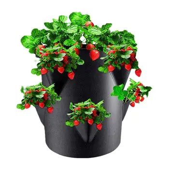Strawberry Planter Bag with 6 Grow Pockets 1