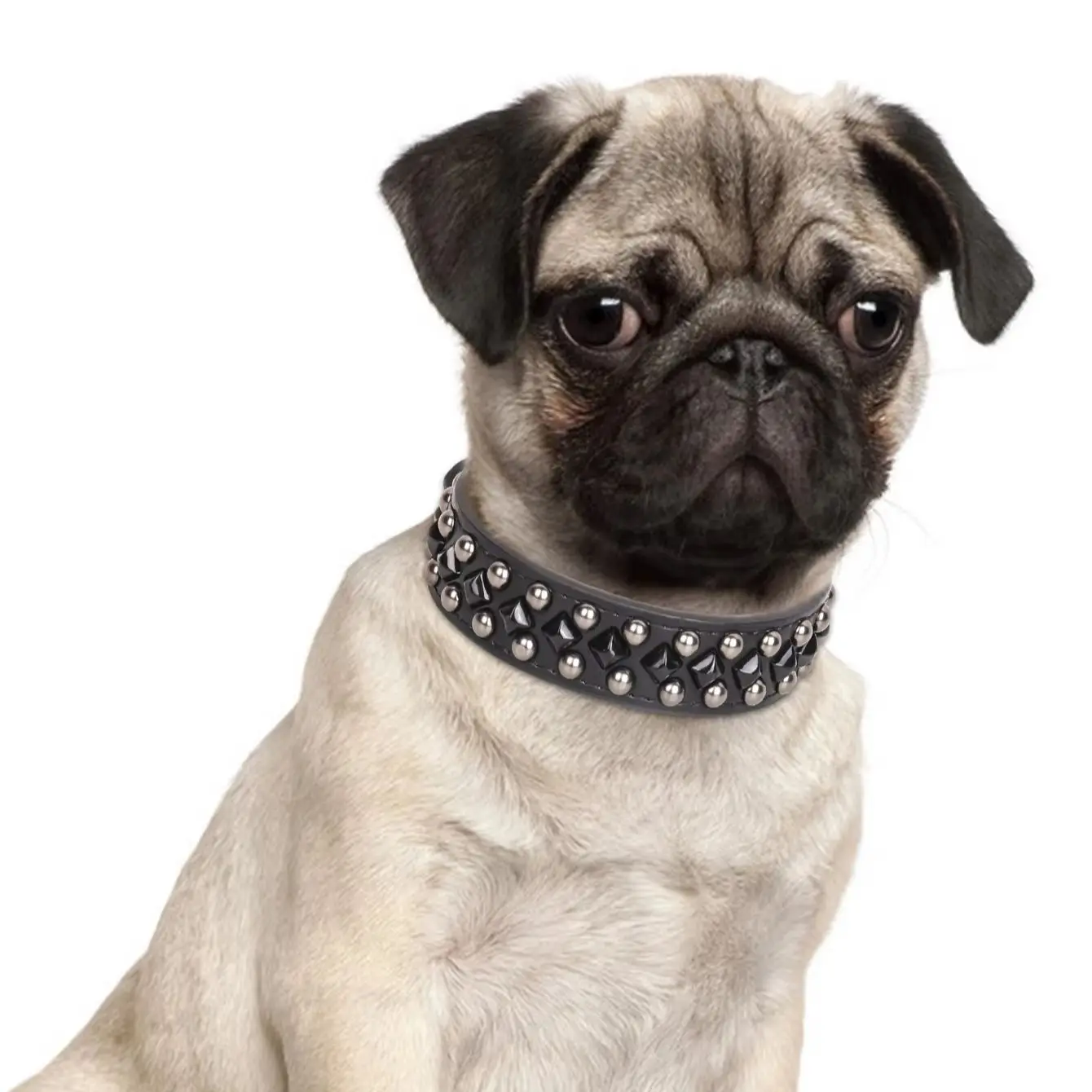 ECP037 durable pu leather pet dog collar metal nail buckle accessories neck protective collar for dogs dog collar pet collar