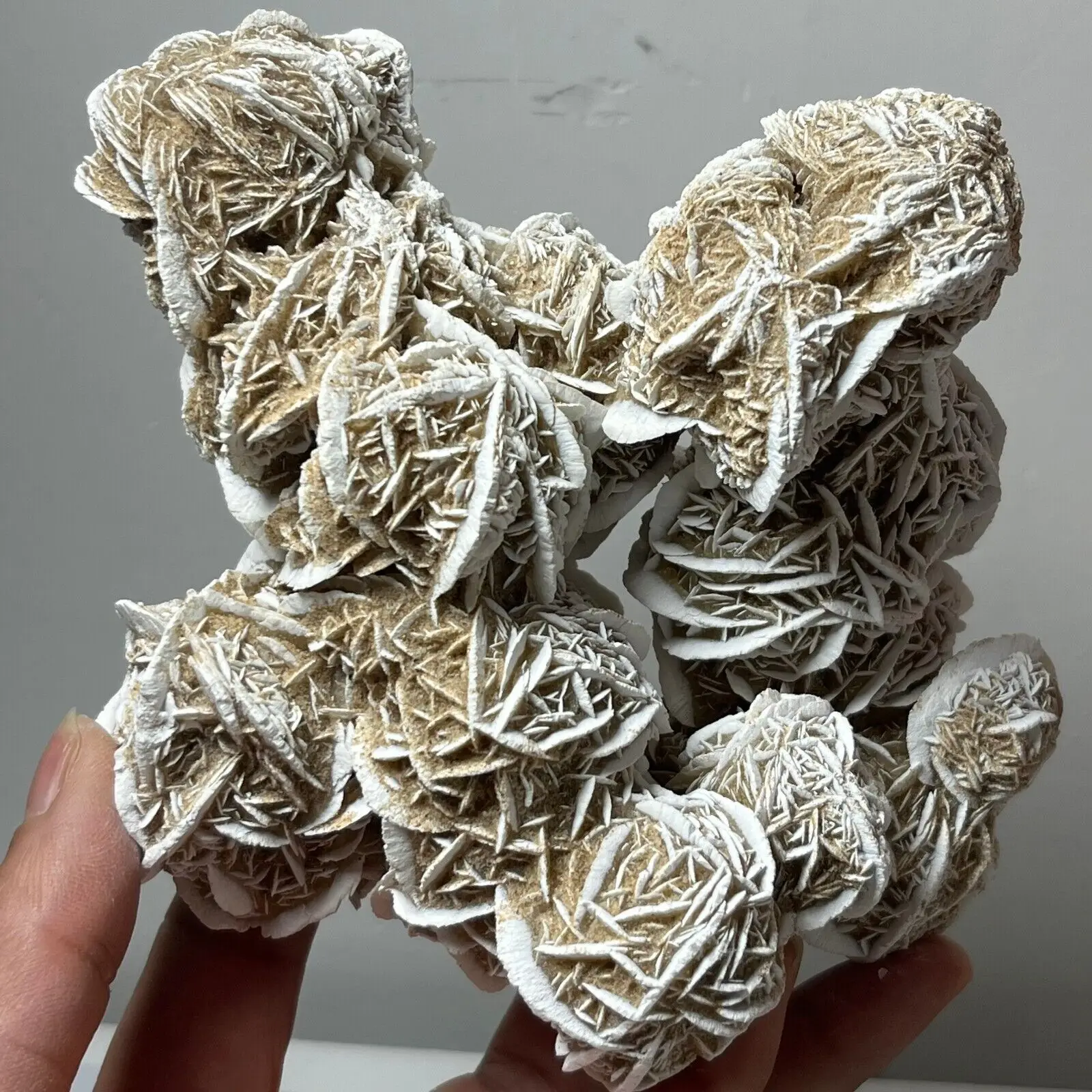 Enorme Grappolo Di Pietra Grezza Di Rosa Del Deserto Naturale Magico, Cluster Di Minerale Grezzo Di Cristallo Di Quarzo, Pietra Curativa Reiki Mineral