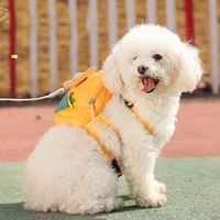 Winged Small Dog Backpack & Harness
