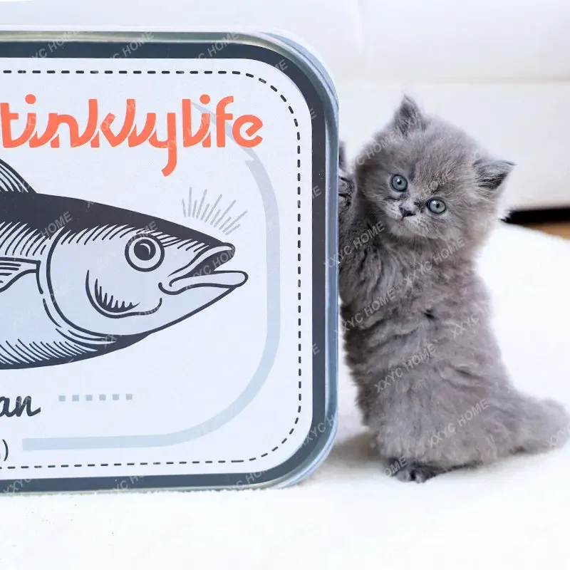 Canned Fish Cat Scratch Board Scratching Scratching Board No Dandruff Toy Cat Nest Scratch Integrated