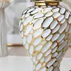Ceramic Light Luxury Electroplated General Cans European Style Flower Vase Crafts Decorative Decorative Storage Tanks with Soft 4