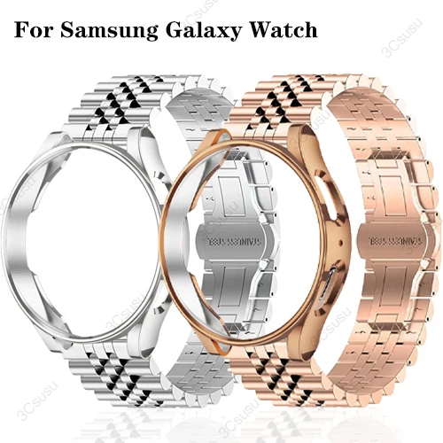 Stainless Steel Strap and Protective Case