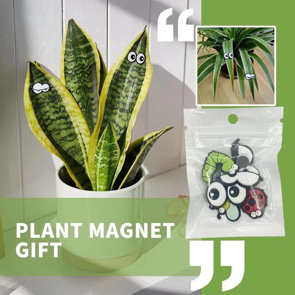 6pcs Plant Magnets Eyes for Potted Plants Unique Plant Lover Gift Ideas for  Women Funny Plant Pins for Indoor Plants Accessories - AliExpress