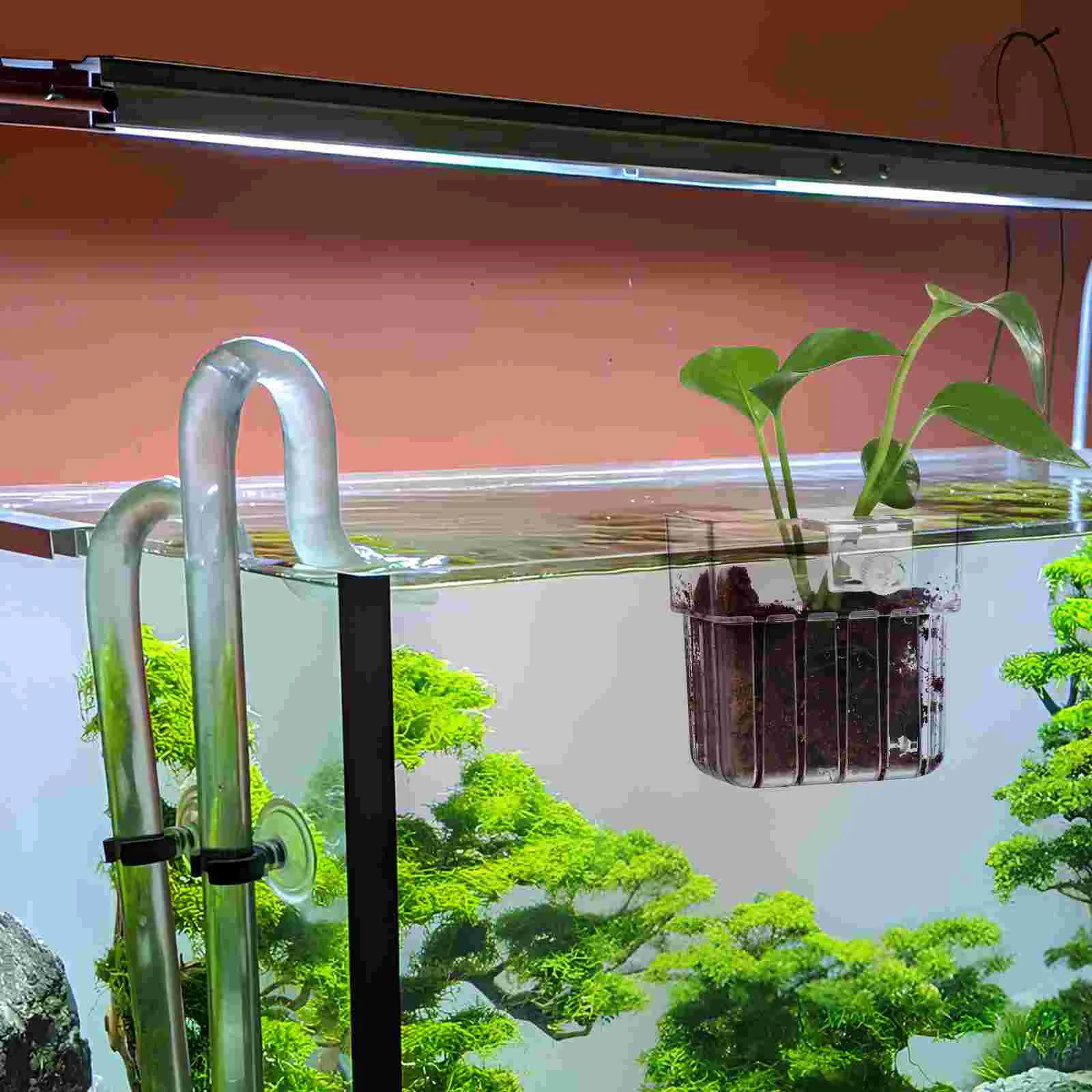 4 Pcs Hydroponic Plant Cup Aquatic Planter Sponge Holder Stand Aquarium Pots Acrylic Decoration Fish Tank