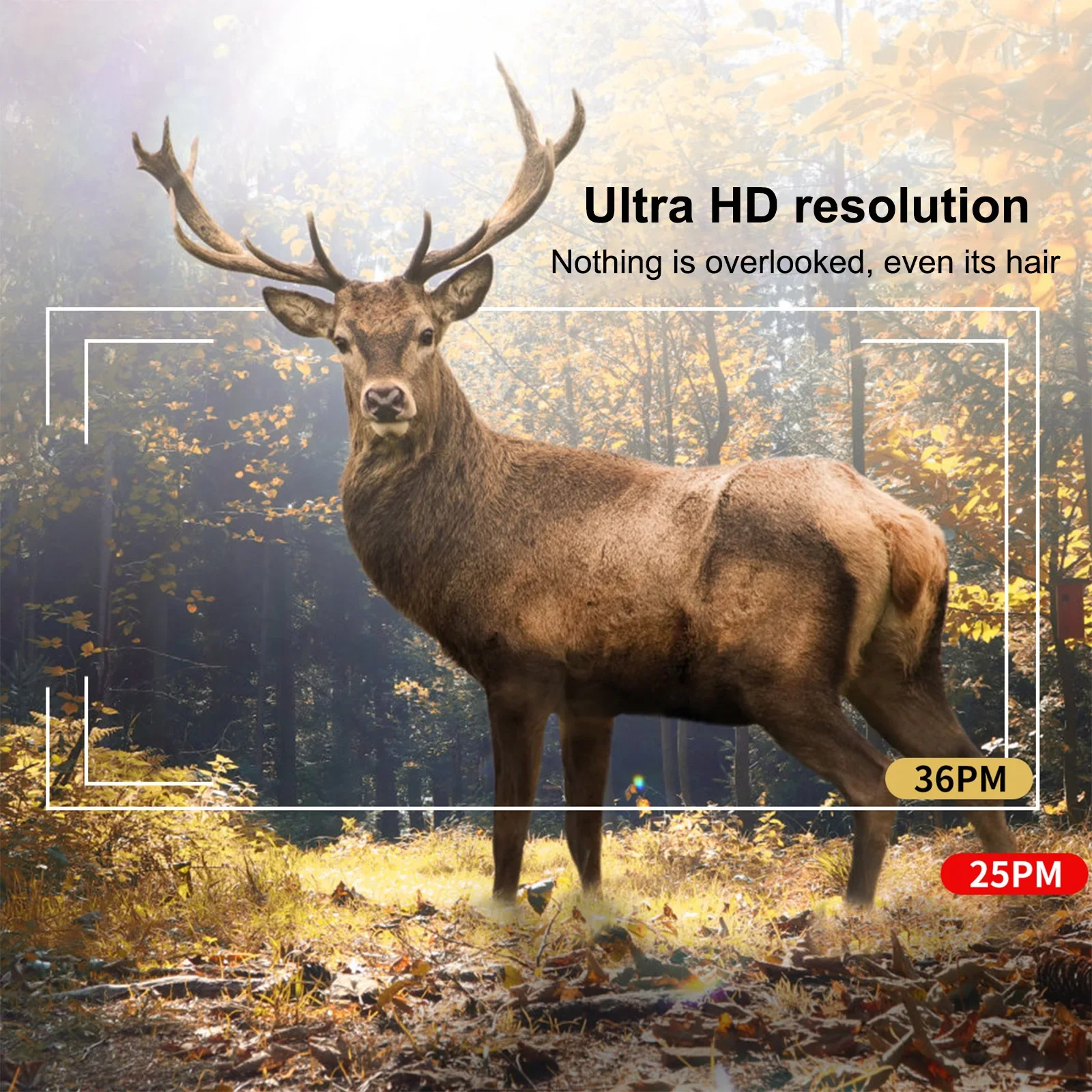 Hunting Trail Camera 30MP 4k Infrared Night Vision Motion Activated Trigger Security Cam Outdoor Wildlife Photo Traps