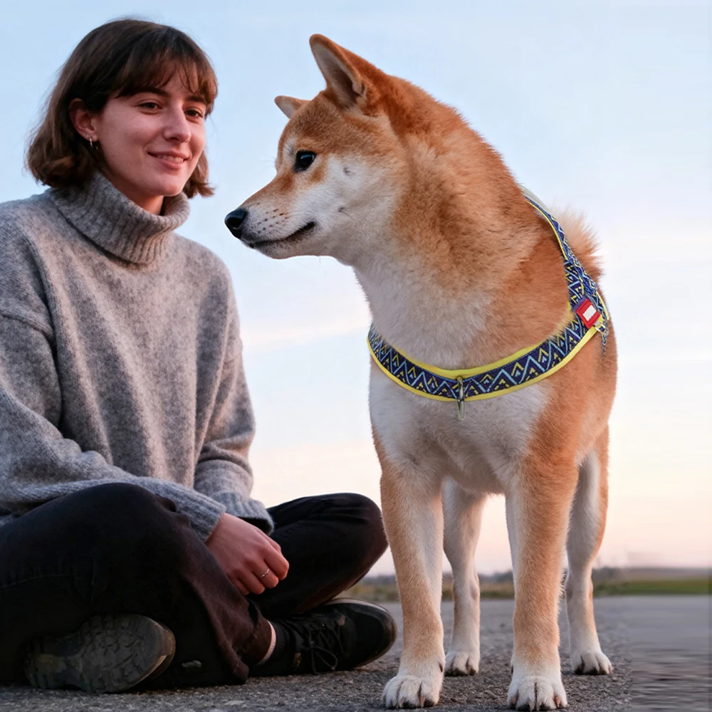 Dog Harness Fashion Printed Saddle, Soft Adjustable No-pull Padded Vest With Handle For Pet All Breeds_voghion.com