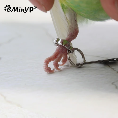 앵무새 발 반지 금속 애완 동물 새 다리 반지, 야외 플라이 훈련 활동, 분실 방지 오프닝 클립, 가죽 끈 액세서리, 0.45 ~ 1.15cm 3