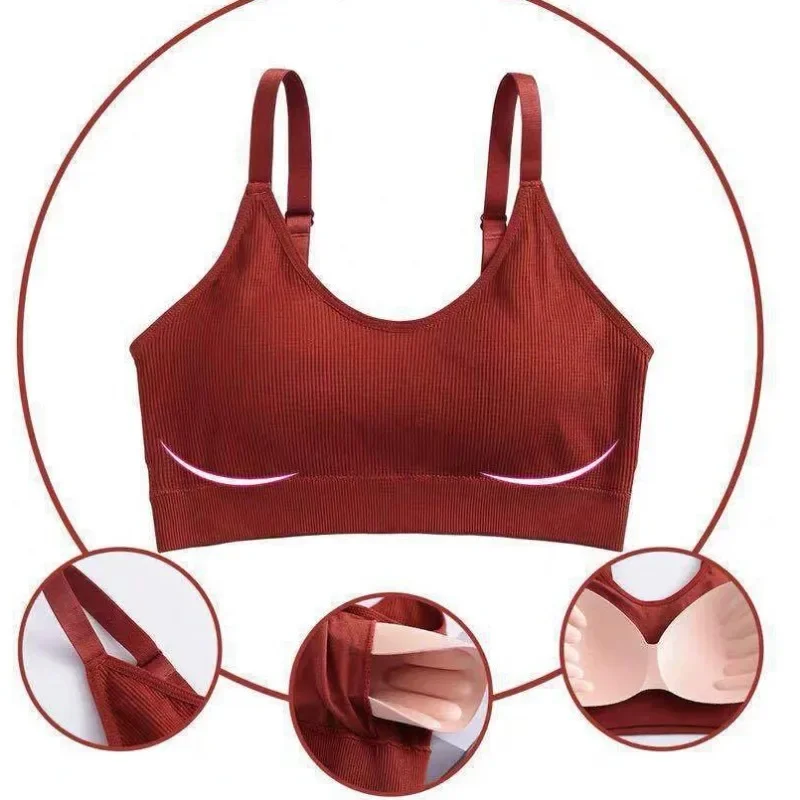 Women Seamless Bra Sport Underwear Elastic Fitness Crop Top Yoga Vest Breathable Athletic Casul Wear women lingerie bra