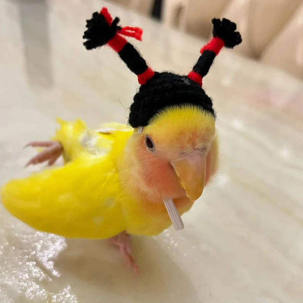 Mini Knitted Bird Hat Cute Handmade Knitted Hat Funny Parrot Headwear Guinea Pig Hamster Accessories Bird Supplies Small Pet