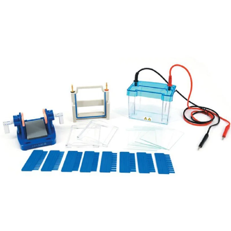 

Модель: DYCZ-24DN Mini Protein gel electrophoresis