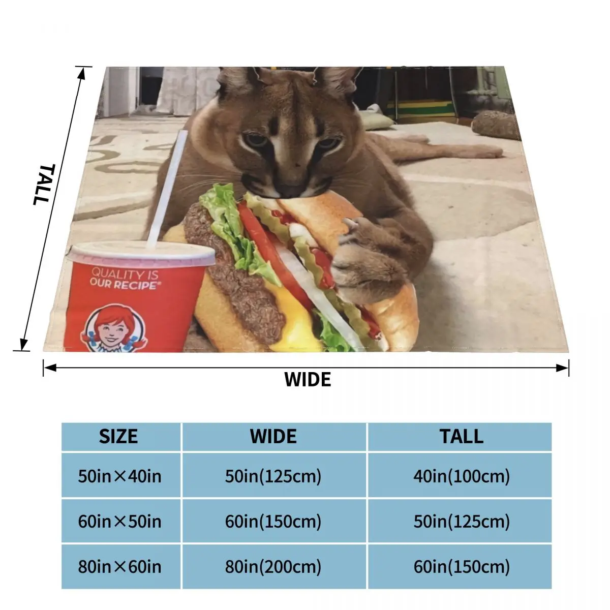 ǫ���� �÷��� ī��Į �ε巯�� �ø��� ���, �� ������ �ö��� ���� �ڵ��� ħ�� �̺ҿ� ���