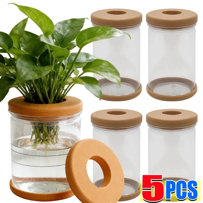 Self-Watering Hydroponic Planter with Transparent Design