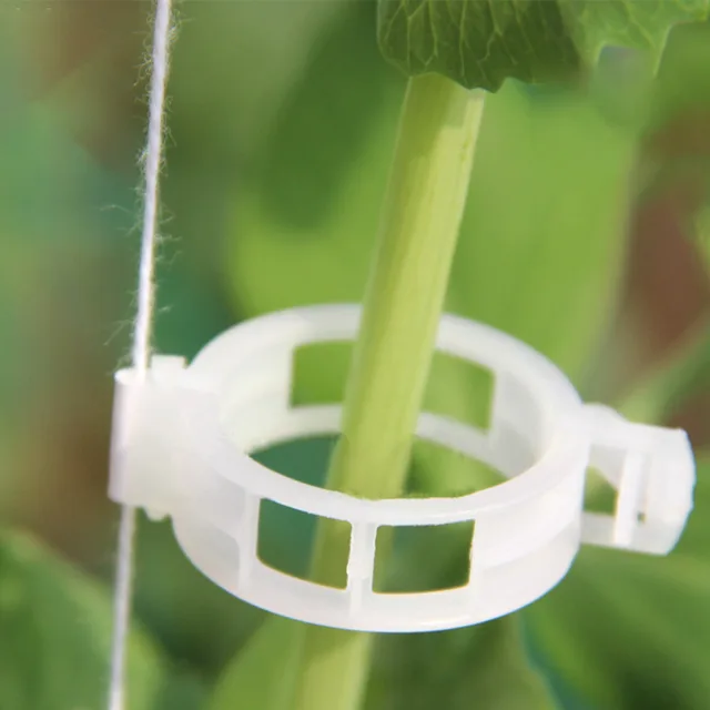 50/100 Darabos Műanyag Növényi Klipek Támogatók Összekapcsolják Az Újrahasznosítható Védelem Oltását. Rögzítő Növény Zöldség Paradicsomos Szerszámok Kerti Kellékek - Image 6