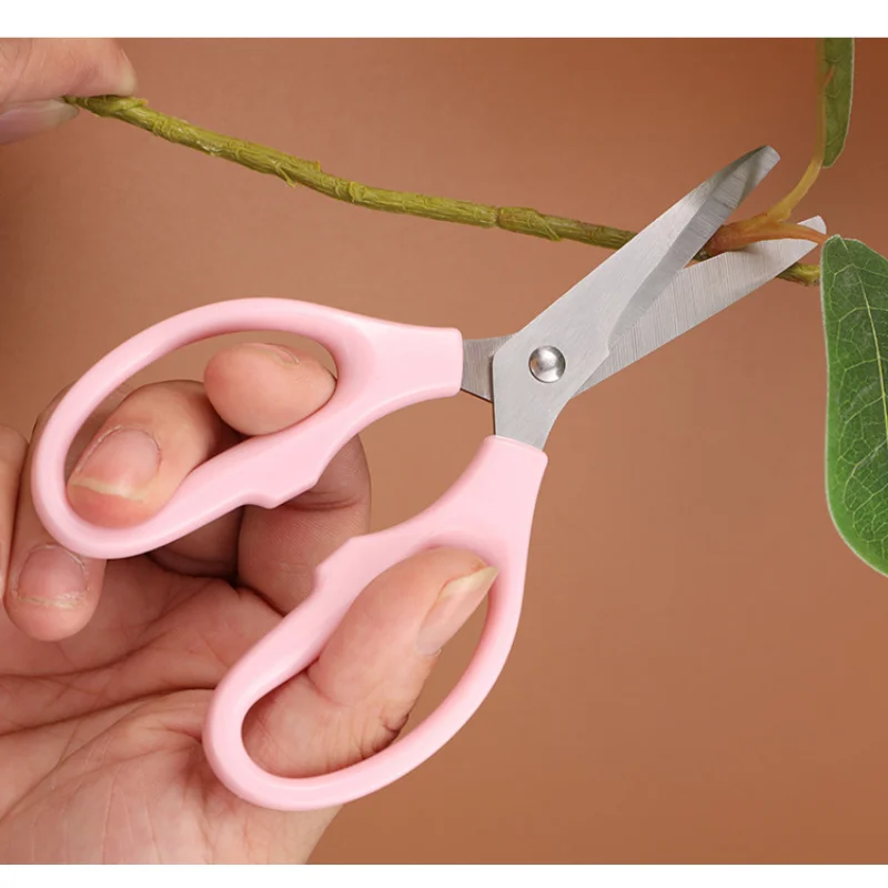 https://ae01.alicdn.com/kf/S895f63fcf6e64696abfc71730de7a046W/Stainless-Steel-Household-Scissors-Office-Stationery-Child-Safety-Scissors-Hand-Made-Scissors-for-Students-Thread-Clipper.jpg