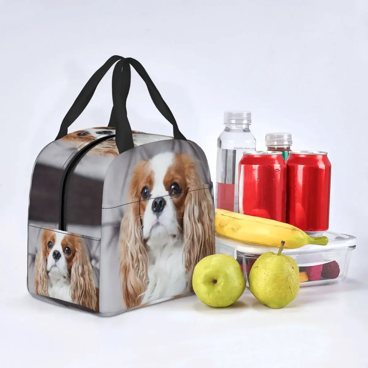 Lunch Bag Women Cooler Thermal Insulated Lunch Box Cavalier King Charles Spaniel for Kids School Children