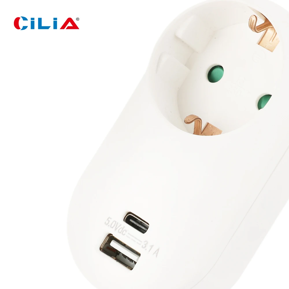 European Multi-Functional Wall Plug with USB and Type-C Interface, 2-Hole Grounding Socket