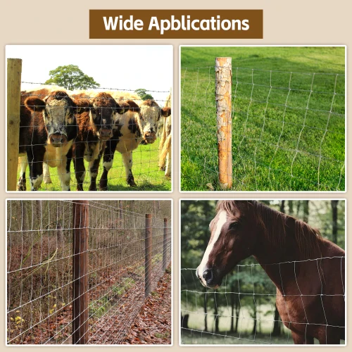 Sturdy Garden Fence 4