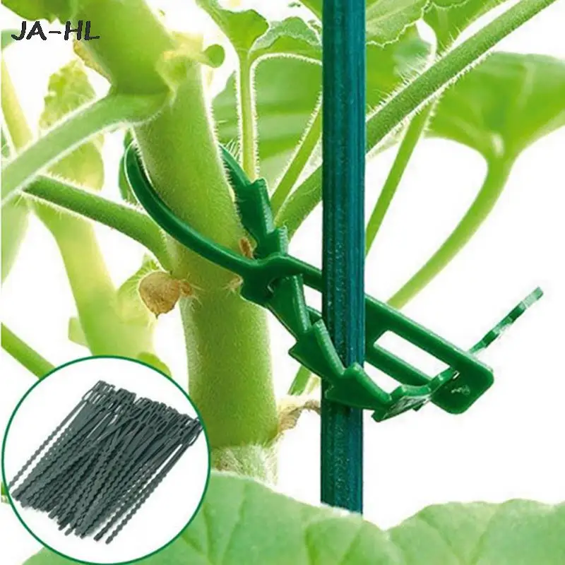 

Hot 50pcs Adjustable Plastic Plant Cable Ties Reusable Cable Ties for Garden Tree Climbing Support Garden plant Tying Tool