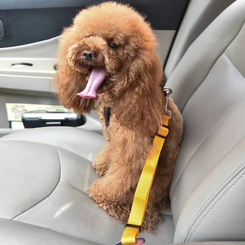 조정 가능한 애완견 고양이 자동차 시트 벨트 개 하네스 가죽 끈, 소형 중형 여행 클립, 프랑스 불독 개 액세서리 용품 3