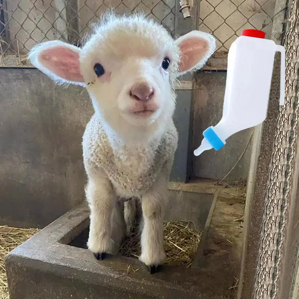 Bottiglia per l'alimentazione di animali da fattoria premium da 800 ml, biberon per agnelli invertito con manico, biberon veterinario per ovini e suinetti