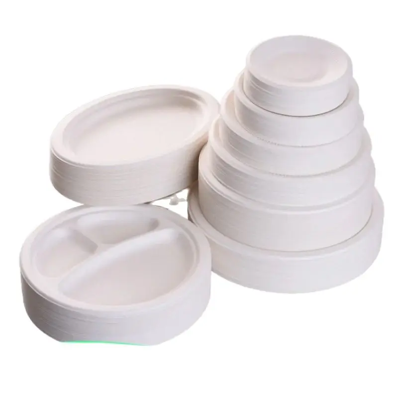 Party Tableware Disposable Plates 3 Compartment Tray Compostable Degradable Dinnerware 50pcs for Picnic party tableware,disposable food trays