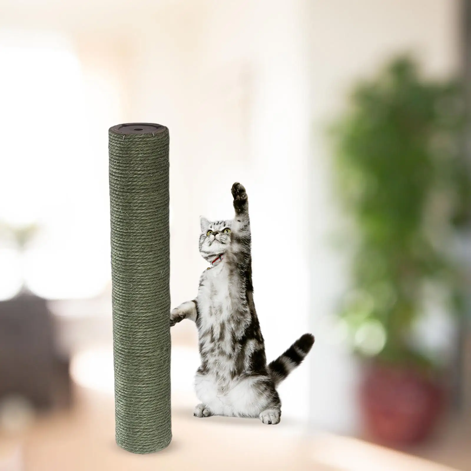 Cat scratching posts Replacement Carpets Protective Scratch Post Refill Pole for Playing