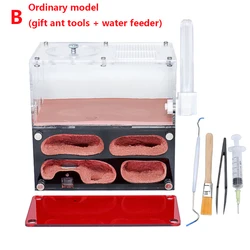 Acrylic Ant Farm with Temperature Control and Expansion Features - Insect House Colony Kit with Drinker and Accessories (Normal suit  B)