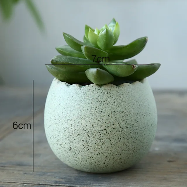 Sárkány Tojás Alakú Zamatos Növény Hüvelykujj Kis Virágpot Egyszerű Iroda Dekoráció Kerámia Otthoni Díszek - Image 6