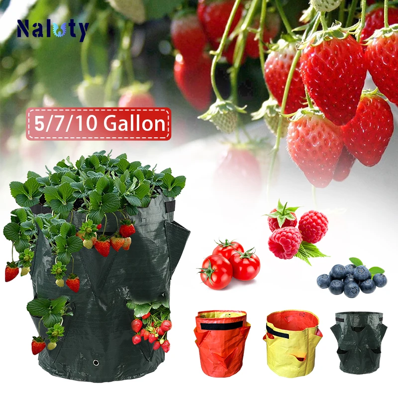MultiopeningStrawberryGrowBag5710GallonsPlantingBagsTomato