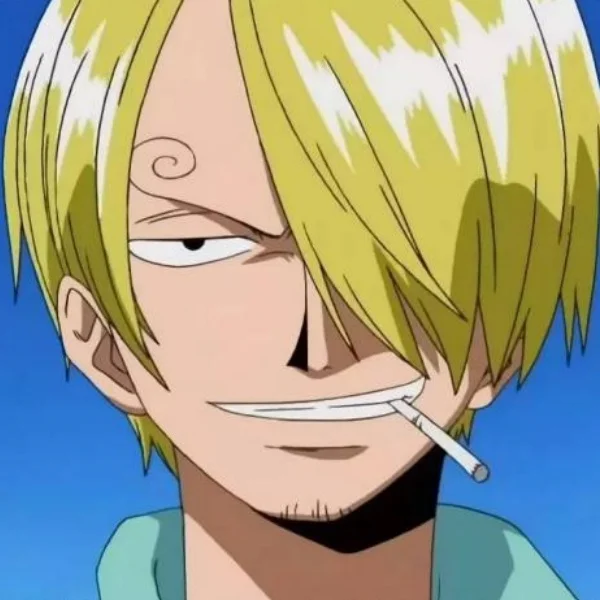 SANJI Figure Toys Store