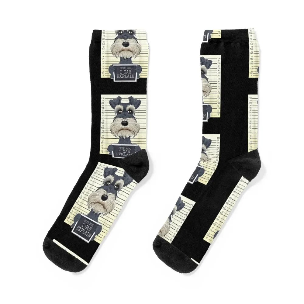 Funny Miniature Schnauzer Socks cycling socks men gifts non-slip soccer stockings funny gifts