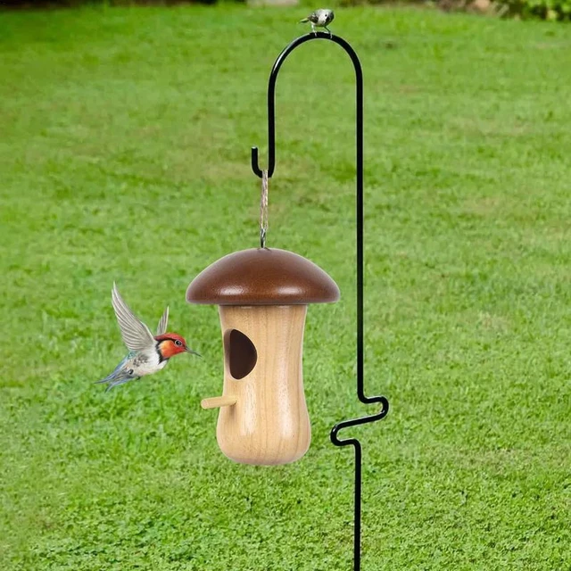 Maison de nidification de colibri pour Wren, maison d'oiseau réutilisable à  suspendre à l'extérieur, balançoire en bois, rangée de Rotterdam -  AliExpress