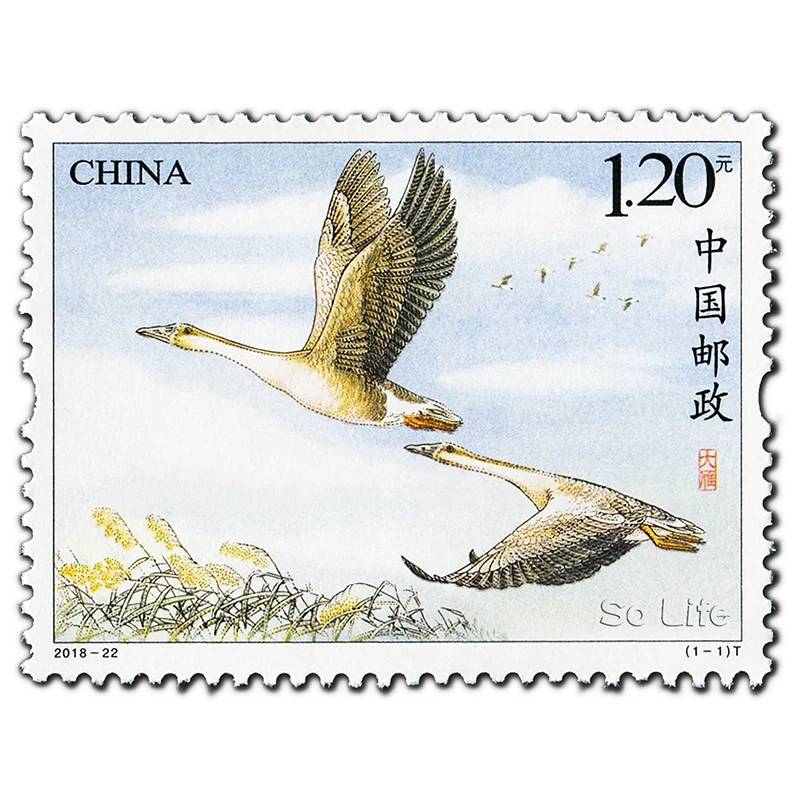 2018-22 , Wild goose . Post Stamps , Philately , Postage , Collection