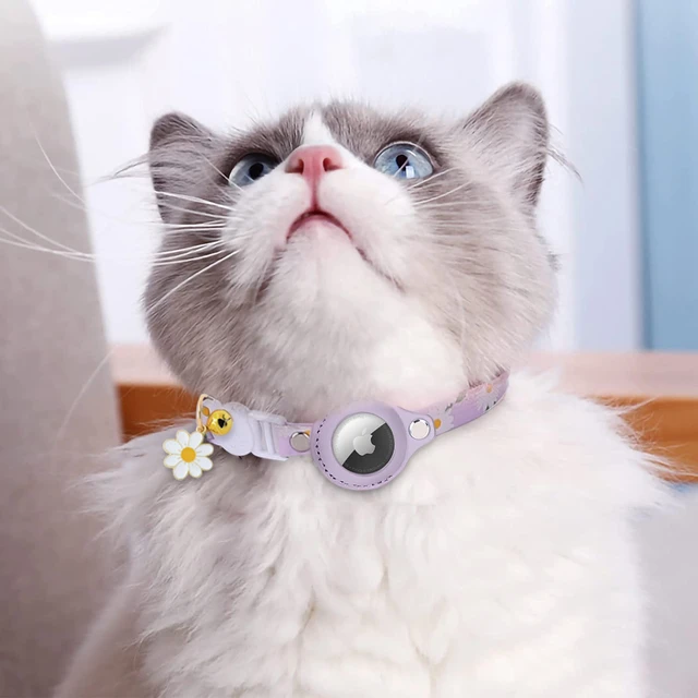 AirTag-Collar ajustable para gato, funda con soporte, pequeño, mediano y  grande - AliExpress